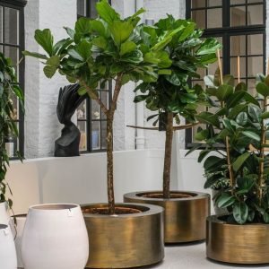 Gold Leaf Round Planter