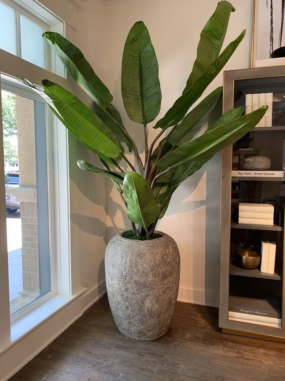 Ceramic planter Rs.75,000